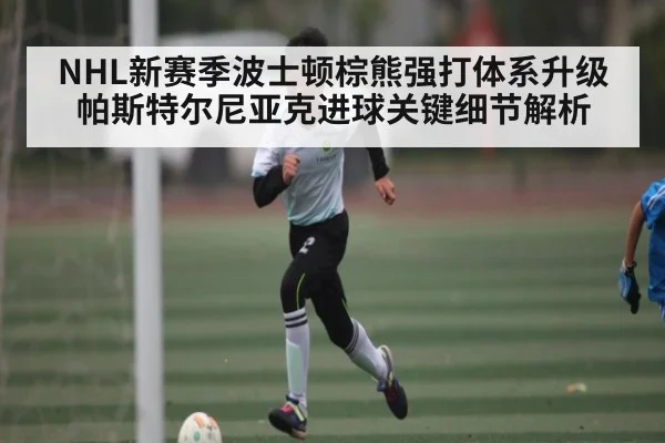 NHL新赛季波士顿棕熊强打体系升级 帕斯特尔尼亚克进球关键细节解析（kaiyun）